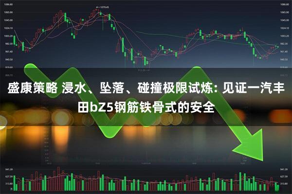 盛康策略 浸水、坠落、碰撞极限试炼: 见证一汽丰田bZ5钢筋铁骨式的安全